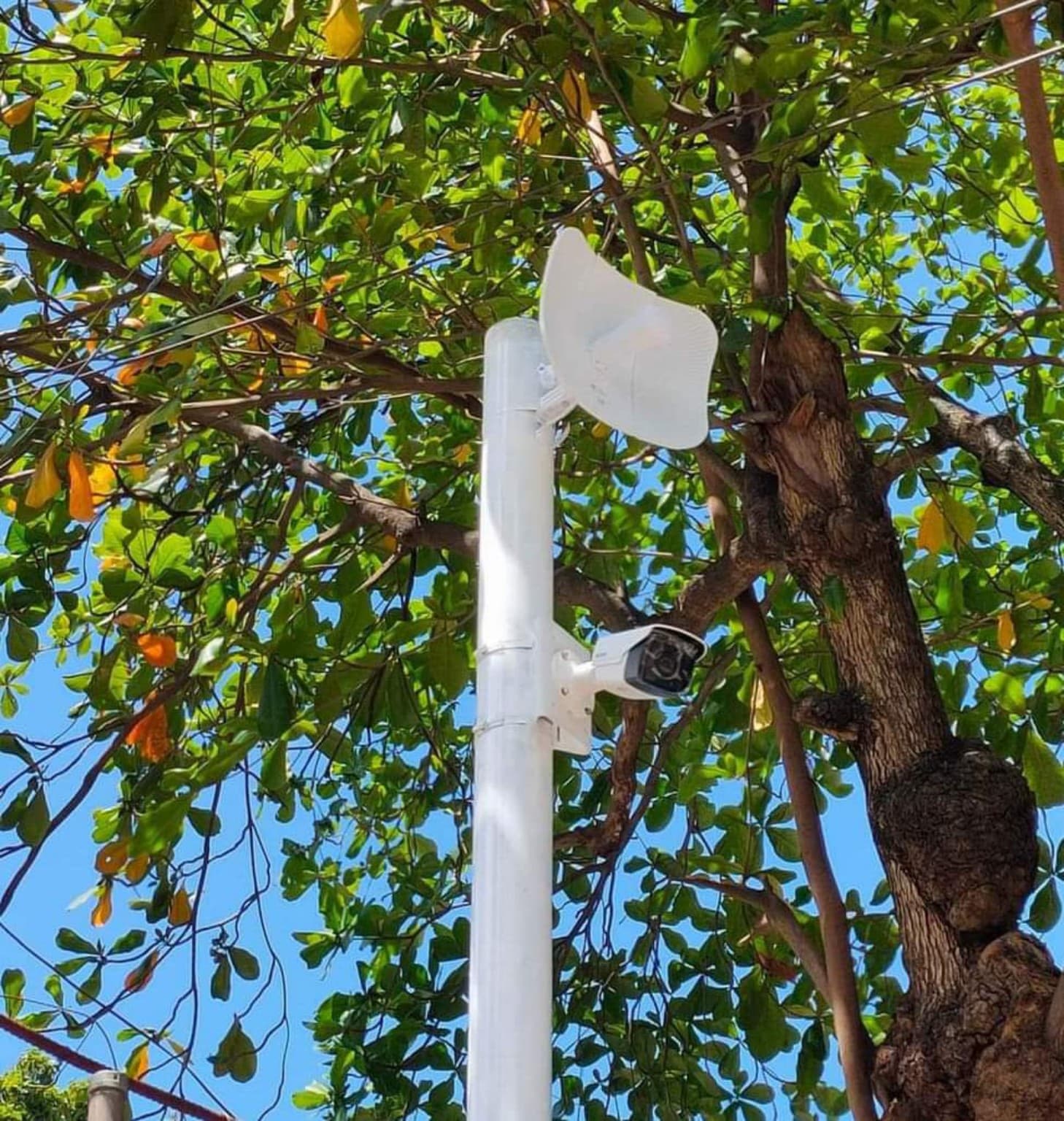 Wireless CCTV camera pole with antennas